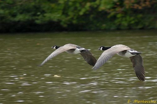 BSCF_0390.jpg
