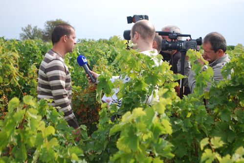 viticulture-sarthoise-1.jpg