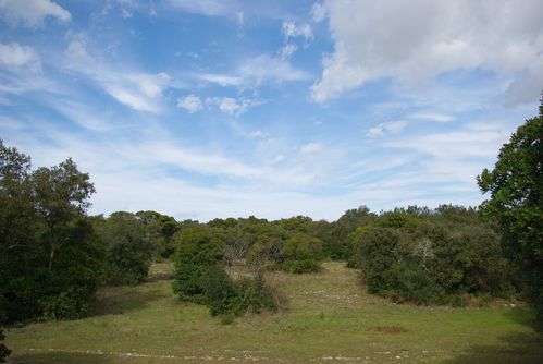 IMGP1176