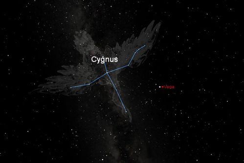 constellation du Cygne