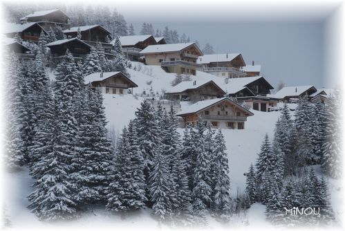 Dossier-no-5-0014-copie-1.JPG