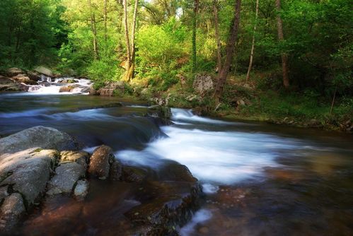 Ruisseaux-au-fond-des-bois_0022--2-.jpg