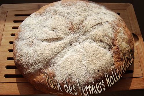 pain-fermiers-Hollandais.jpg