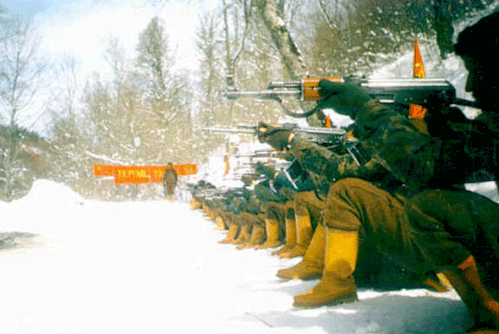 guerillatikko
