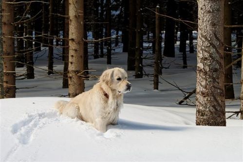 cheynne neige 1