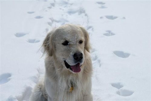 cheynne neige 3
