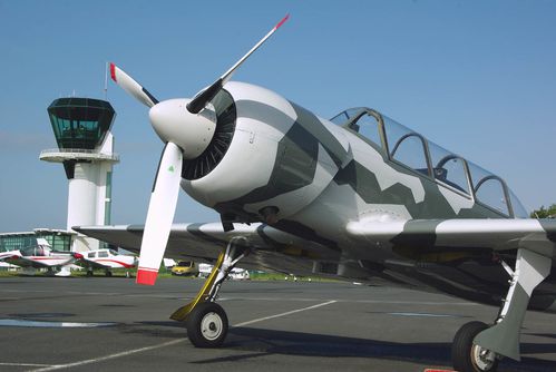 IMGP7066.JPG