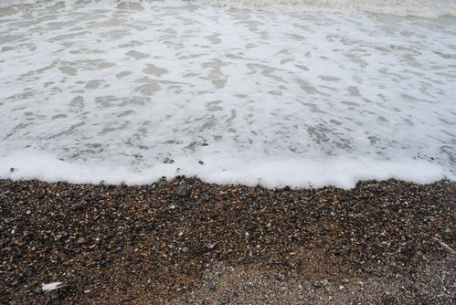 Baie-de-somme 0235