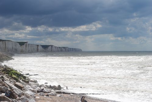 Baie-de-somme 0260