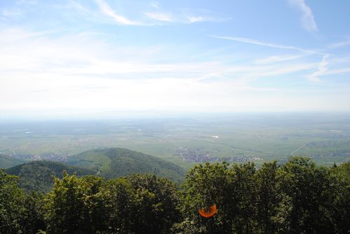 alsace 0660