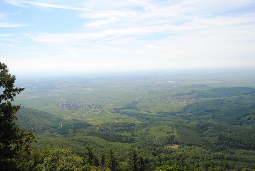 alsace 0729