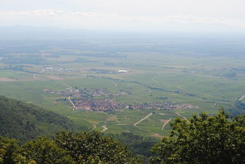 alsace 0819