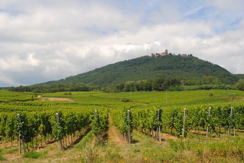 alsace 0834