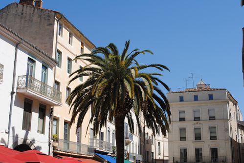 nimes-0227.jpg