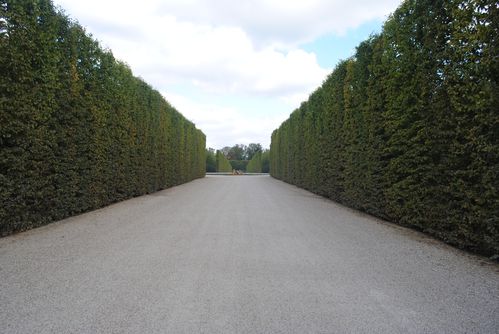 versailles 0249