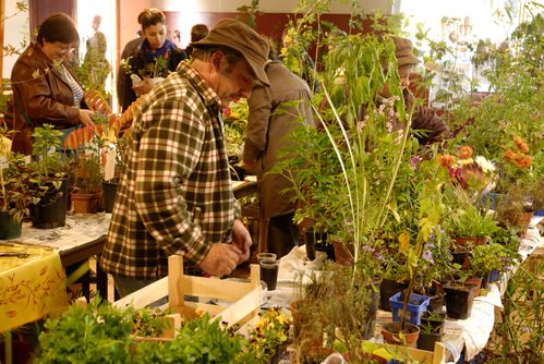 Anneville Marché jardiniers 2010 E