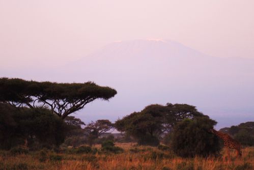 Amboseli 0421