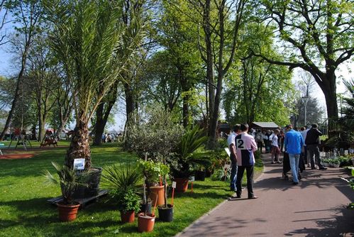 17-04-2011-018.jpg