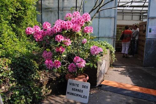 17-04-2011-027.jpg
