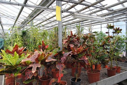 17-04-2011-029.jpg