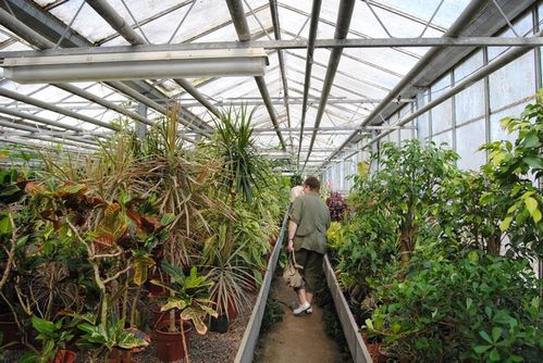 17-04-2011-030.jpg