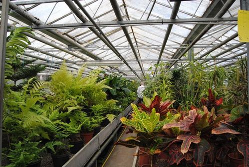 17-04-2011-031.jpg