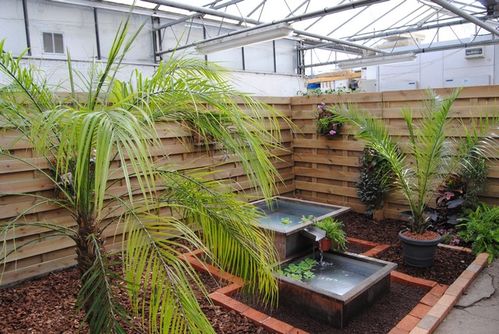 17-04-2011-033.jpg