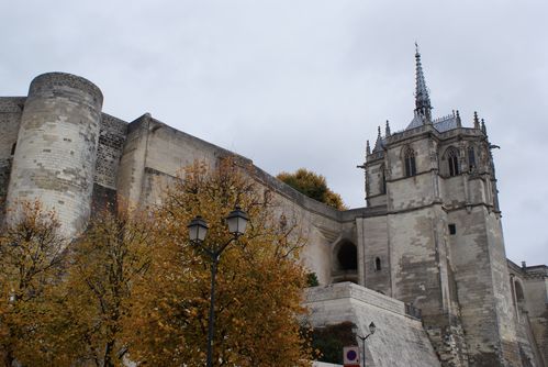 DSC08785