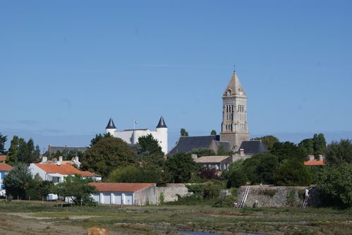 DSC07021