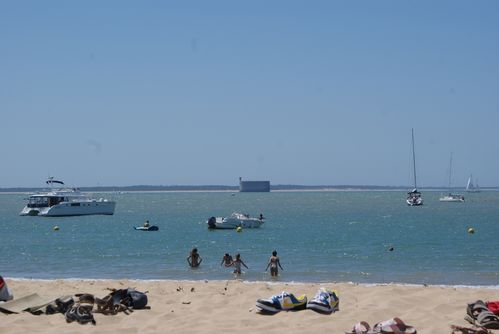 DSC05905