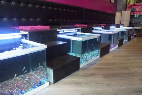 null fish-pedicure.JPG