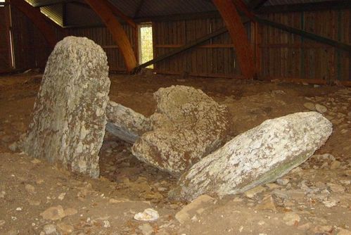 06 dolmen reverse brevilliers