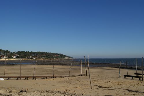 bassin-d-Arcachon--Piraillan-10.1--5-.JPG