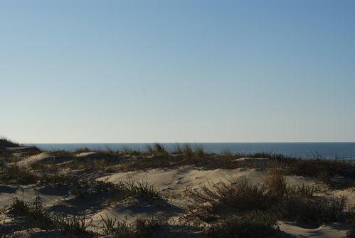 dunes de Cap Ferret 10.1 (12)
