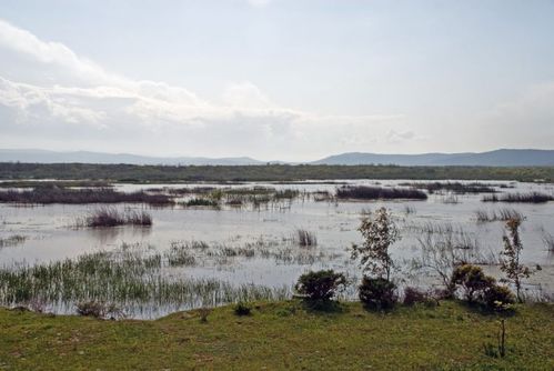 Lac Tonga sur la route de Bône à la Cale