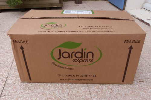 colis jardin express 2013