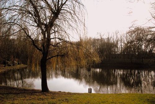 parc3.jpg