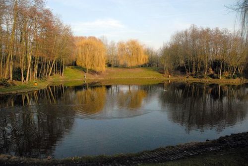 parc8.jpg