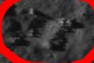 Stevinus crater LARGE jpg