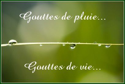 gouttes-de-pluie.jpg