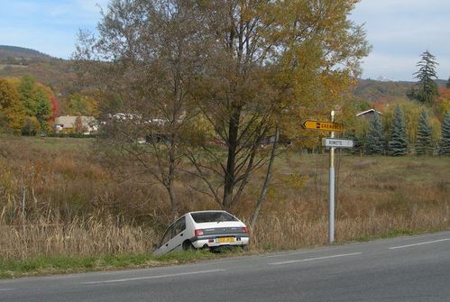 DSCN8989.JPG