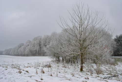 givre 2 2013 03 14