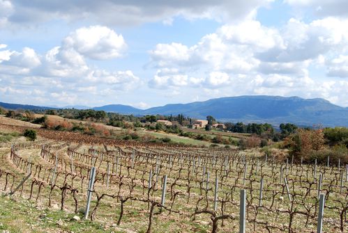 Sainte Victoire - Pourrière33