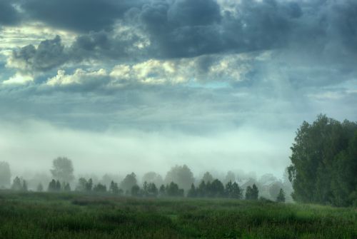 645797_54.jpg