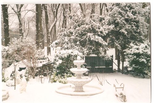 notre-jardin-sous-la-neige.jpg