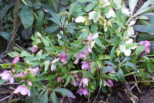 PICT0022