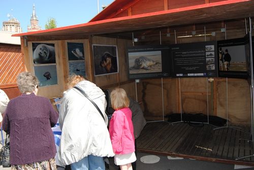 FETE-DE-LA-MER.--10-.jpg