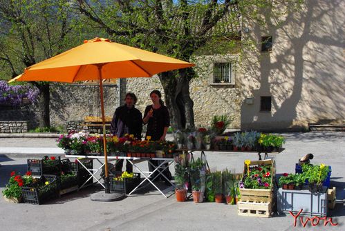 Marché 03