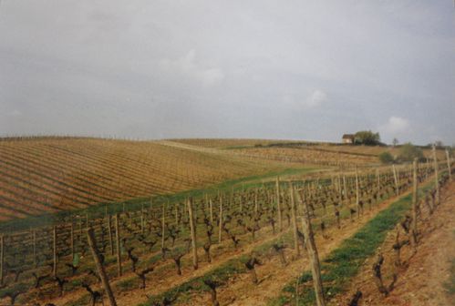 Petite maison de vigne, 1 Vallée du Layon