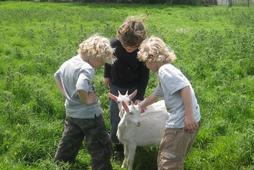 FERME JEAN LOUIS 3